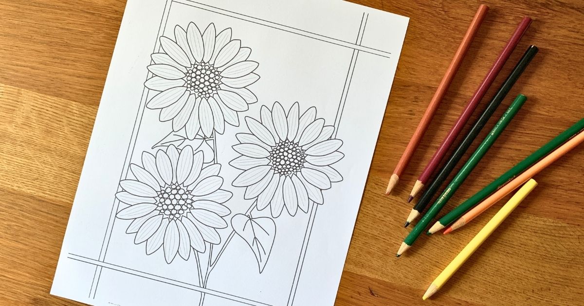 Sunflower coloring page with 3 large blooms and 2 leaves on a thin stem.
