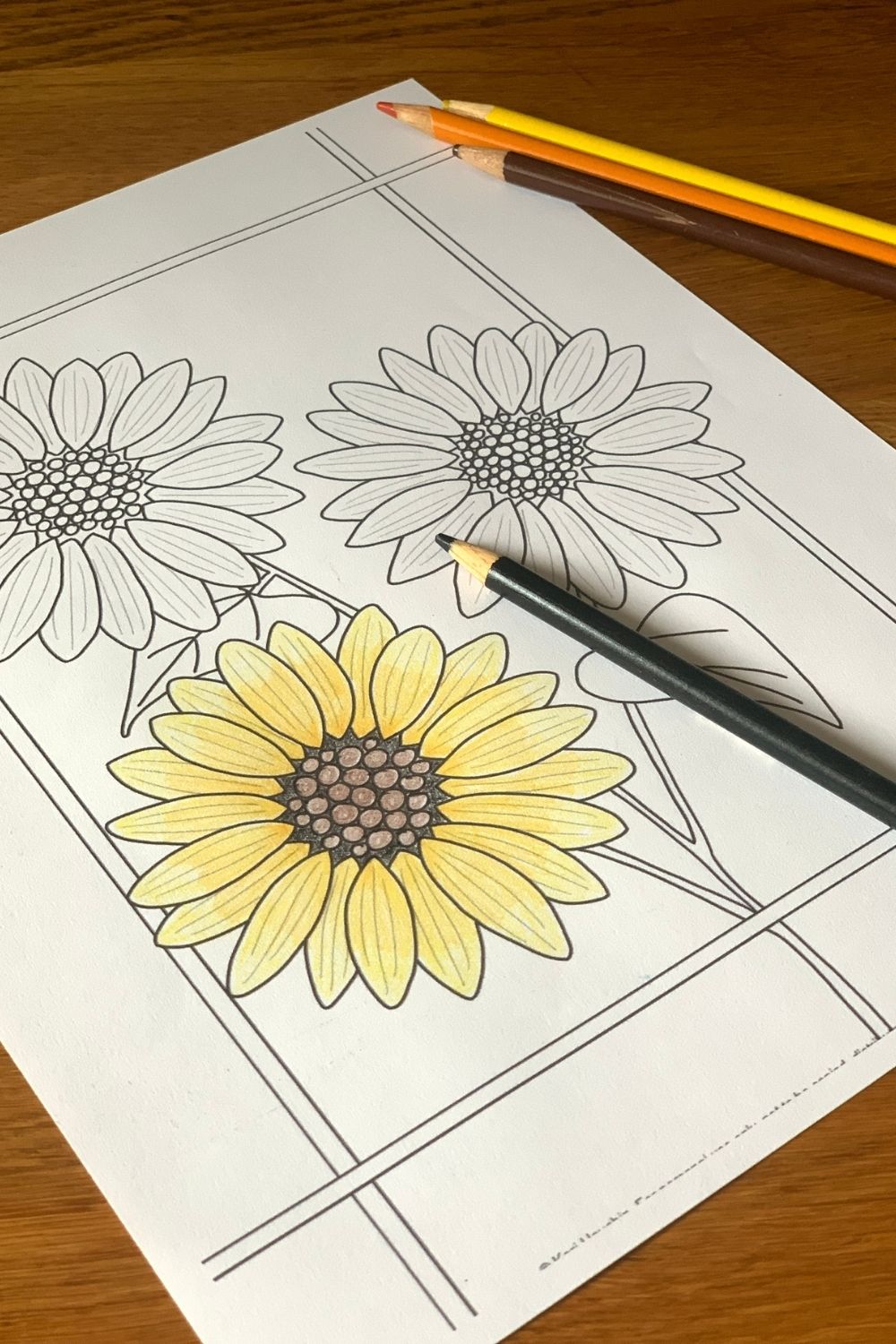 Coloring a sunflower drawing golden yellow with a black-brown center.