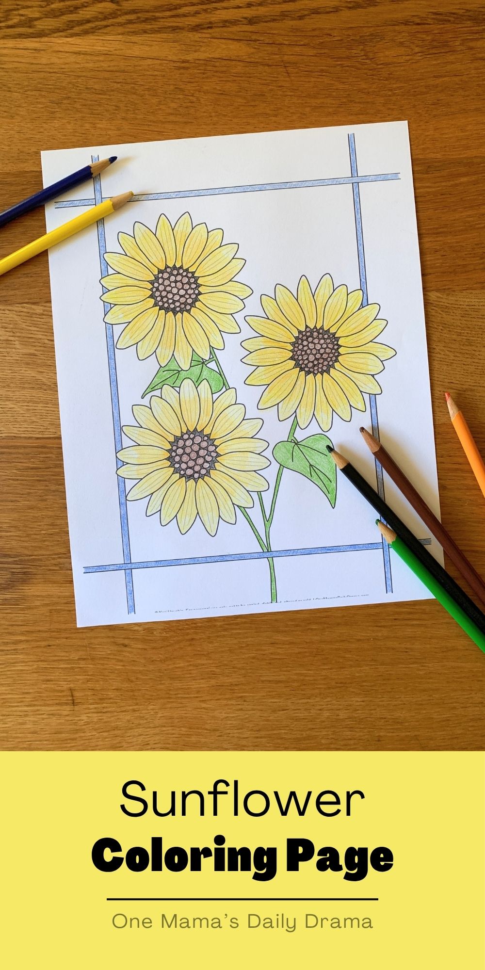 Sunflower coloring page.