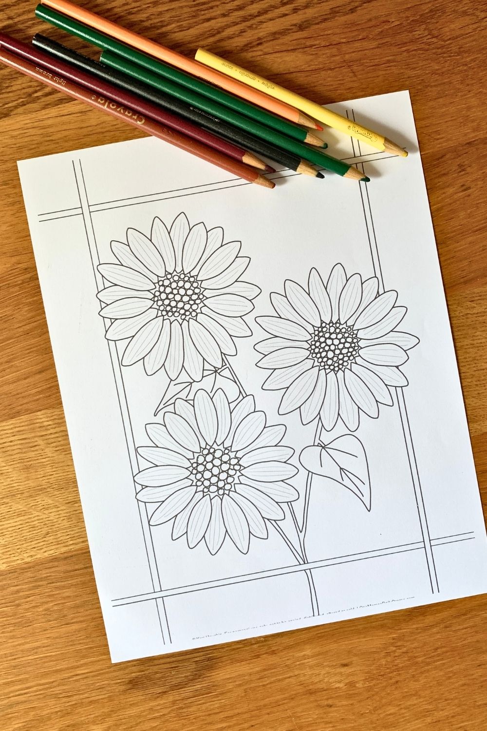 Sunflower coloring page with 3 large blooms and 2 leaves on a thin stem.