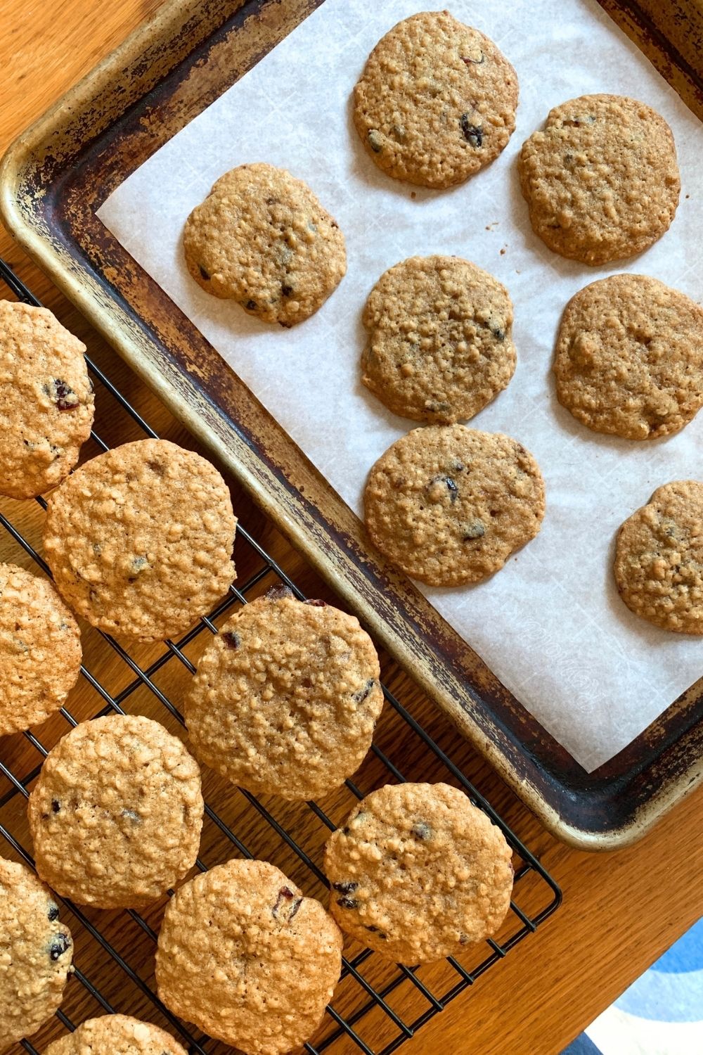 A baking sheet of fresh oatmeal craisin cookies beside a cooling rack with more cookies.