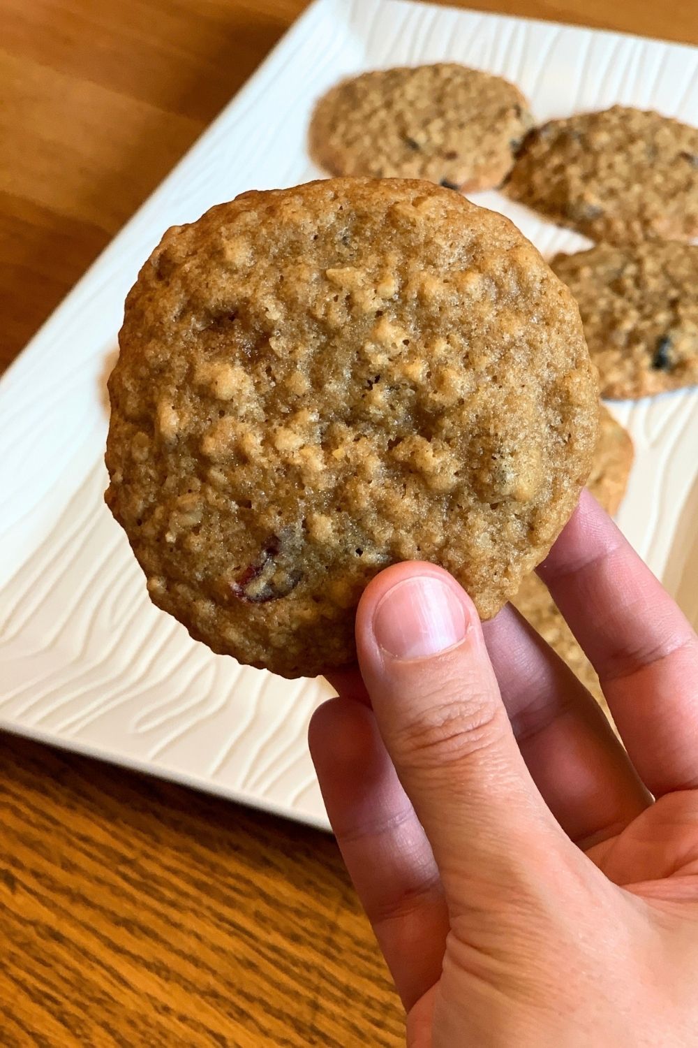 A right hand holding an oatmeal craisin cookie close to the camera to show the texture.
